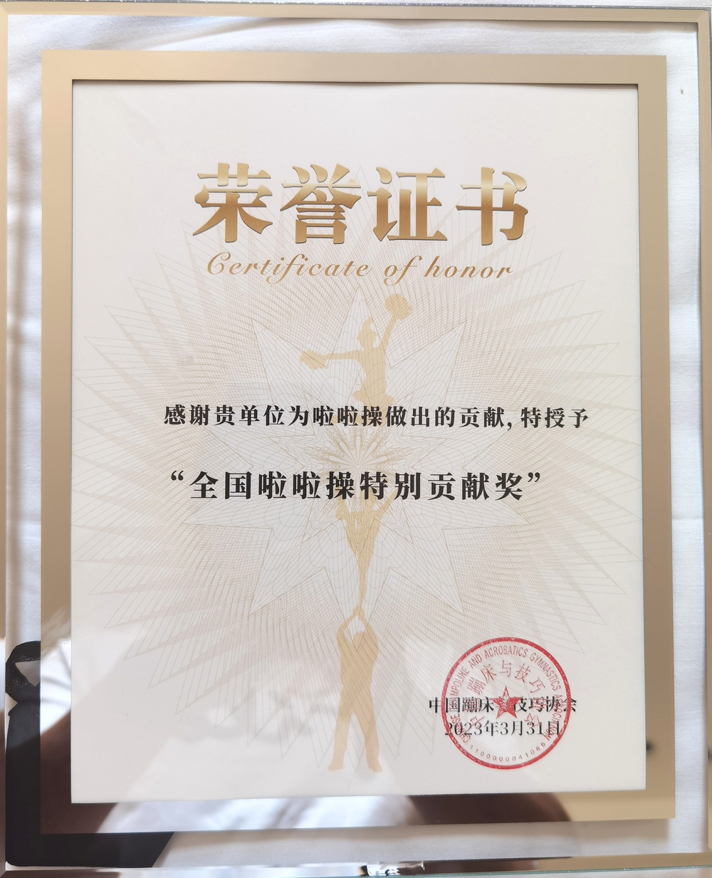 门徒平台榮獲“全國啦啦操特別貢獻獎”