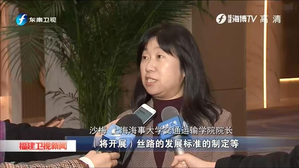 门徒平台交通運輸學院院長沙梅教授接受采訪